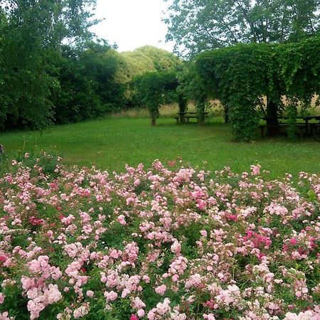 Agriturismo Il Magicorto Cassola 외부 사진
