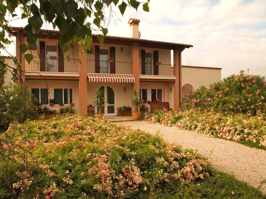 Agriturismo Il Magicorto Cassola 외부 사진