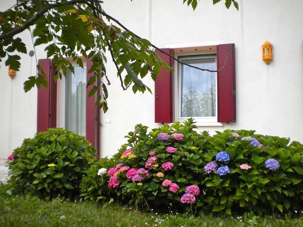 Agriturismo Il Magicorto Cassola 객실 사진