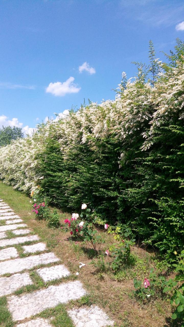 Agriturismo Il Magicorto Cassola 외부 사진