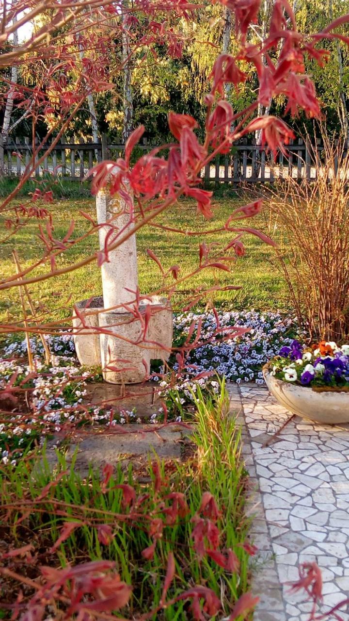 Agriturismo Il Magicorto Cassola 외부 사진
