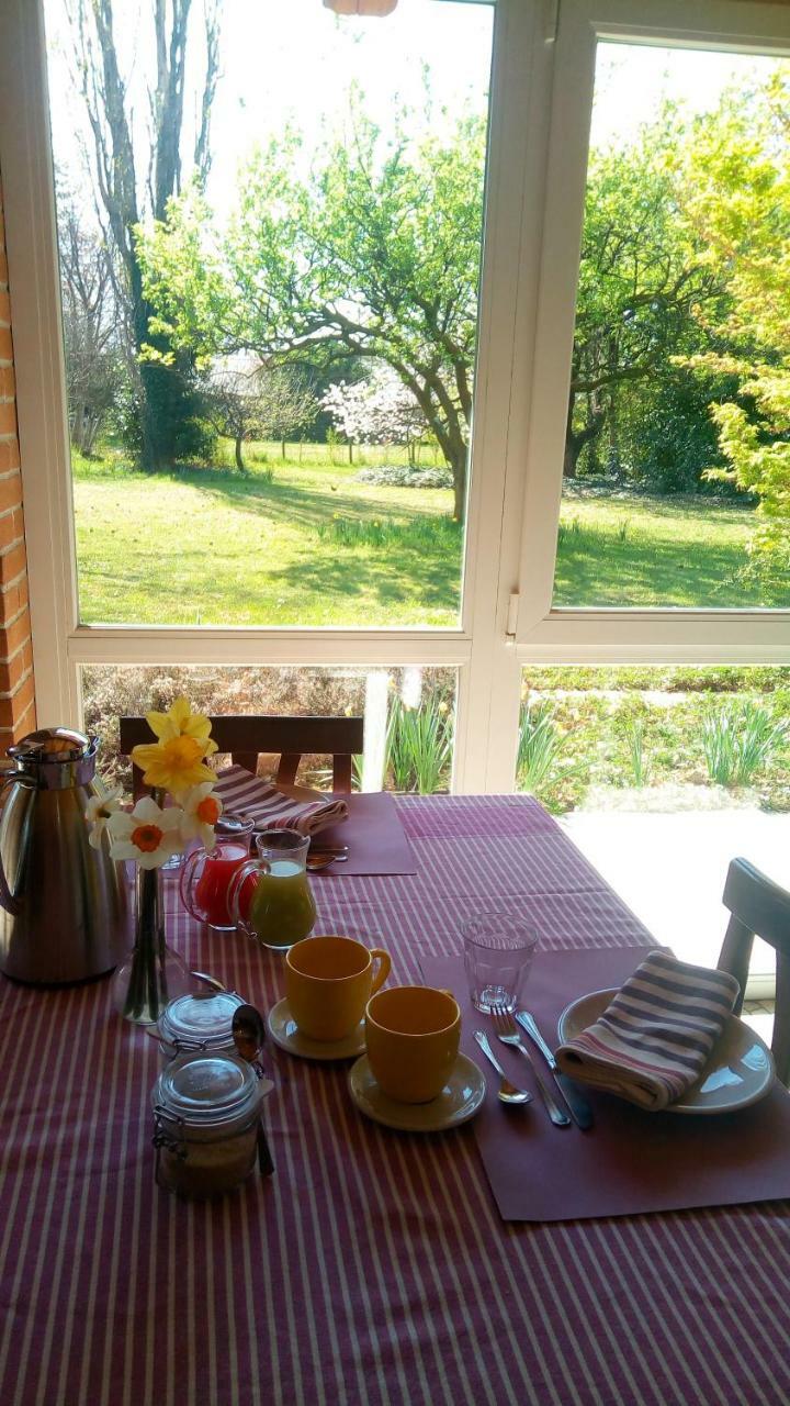 Agriturismo Il Magicorto Cassola 외부 사진
